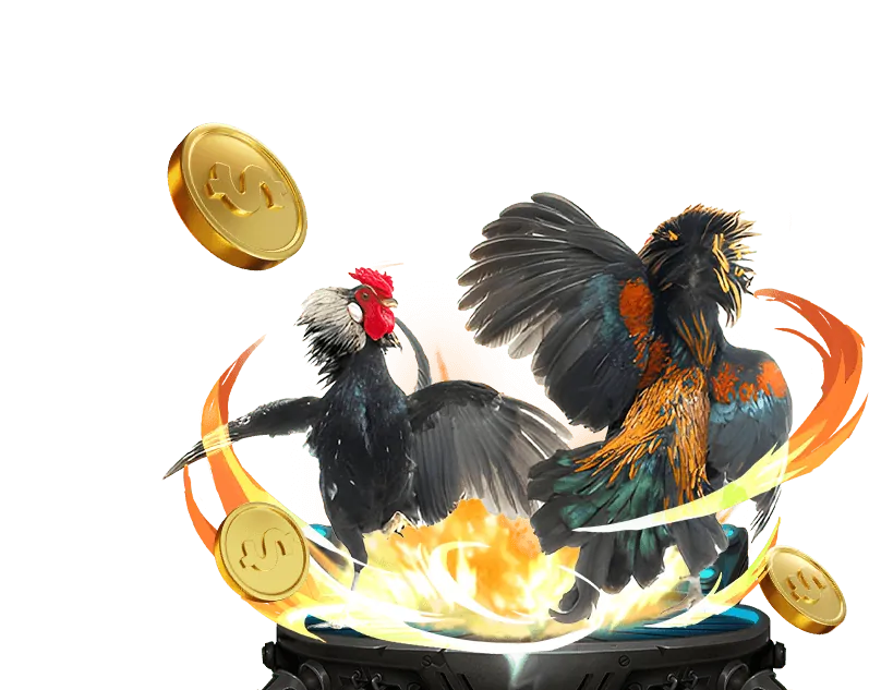 Đá gà trực tiếp tại x88